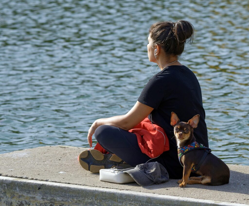 woman, meditating, lake, quay, listening, earphones, dog, pet, animal, canine, nature, together, lifestyle